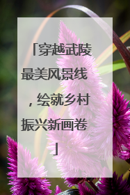 穿越武陵最美风景线，绘就乡村振兴新画卷