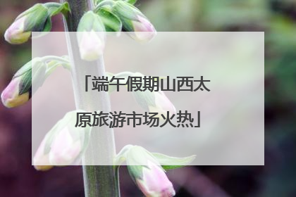 端午假期山西太原旅游市场火热