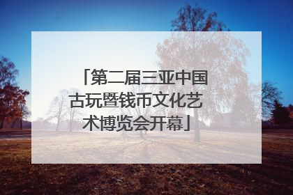 第二届三亚中国古玩暨钱币文化艺术博览会开幕
