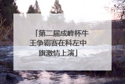 第二届成峰杯牛王争霸赛在科左中旗激情上演