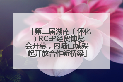 第二届湖南（怀化）RCEP经贸博览会开幕，内陆山城架起开放合作新桥梁