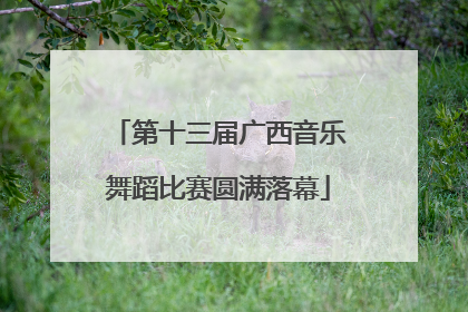 第十三届广西音乐舞蹈比赛圆满落幕
