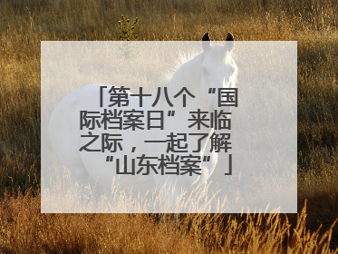 第十八个“国际档案日”来临之际，一起了解“山东档案”