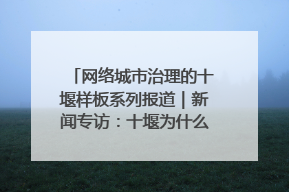 网络城市治理的十堰样板系列报道｜新闻专访：十堰为什么成为“黑马型”城市治理网络维度典型