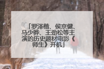 罗泽楷、侯京健、马少骅、王劲松等主演的历史题材电影《师生》开机