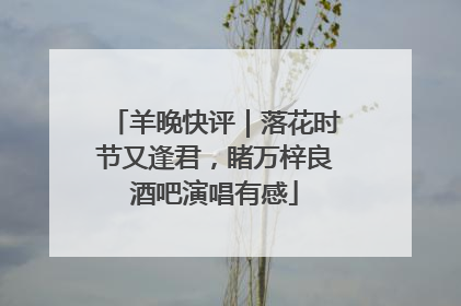 羊晚快评｜落花时节又逢君，睹万梓良酒吧演唱有感