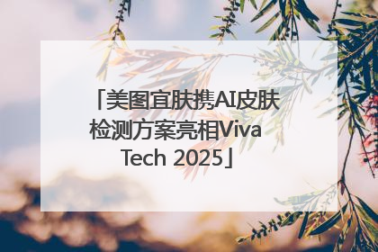美图宜肤携AI皮肤检测方案亮相VivaTech 2025