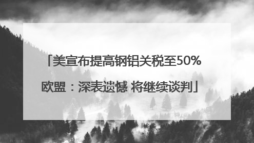 美宣布提高钢铝关税至50% 欧盟：深表遗憾 将继续谈判
