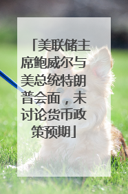 美联储主席鲍威尔与美总统特朗普会面，未讨论货币政策预期