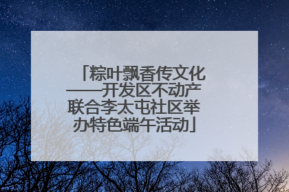 粽叶飘香传文化——开发区不动产联合李太屯社区举办特色端午活动