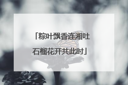 粽叶飘香连湘吐 石榴花开共此时