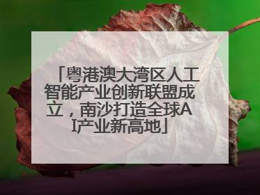 粤港澳大湾区人工智能产业创新联盟成立，南沙打造全球AI产业新高地