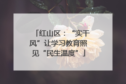 红山区：“实干风”让学习教育照见“民生温度”