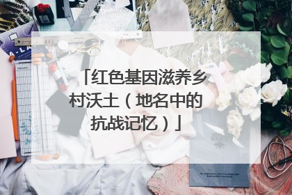 红色基因滋养乡村沃土（地名中的抗战记忆）