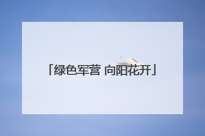 绿色军营 向阳花开