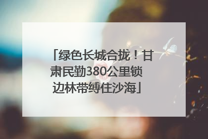 绿色长城合拢！甘肃民勤380公里锁边林带缚住沙海