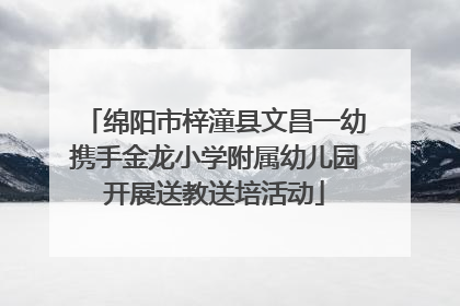 绵阳市梓潼县文昌一幼携手金龙小学附属幼儿园开展送教送培活动