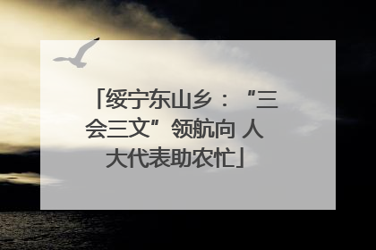 绥宁东山乡：“三会三文”领航向 人大代表助农忙