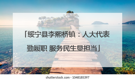 绥宁县李熙桥镇：人大代表勤履职 服务民生显担当
