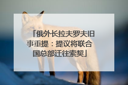 俄外长拉夫罗夫旧事重提：提议将联合国总部迁往索契