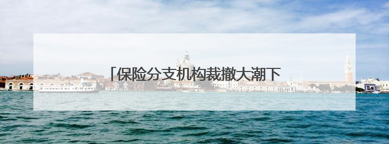 保险分支机构裁撤大潮下，谁在逆势开“分店”