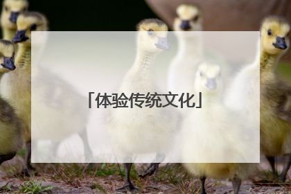 体验传统文化