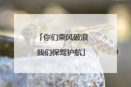 你们乘风破浪 我们保驾护航