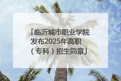临沂城市职业学院发布2025年高职（专科）招生简章