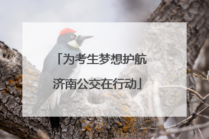 为考生梦想护航 济南公交在行动