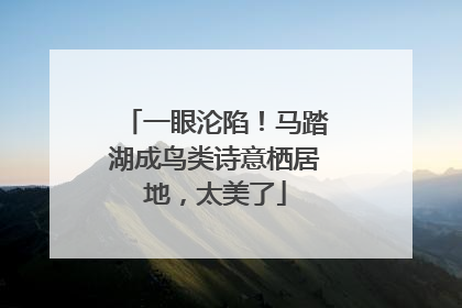 一眼沦陷！马踏湖成鸟类诗意栖居地，太美了