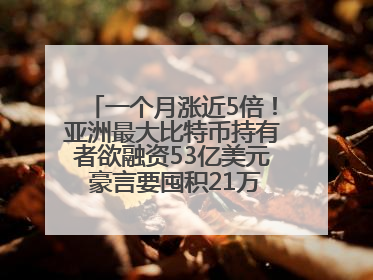 一个月涨近5倍！亚洲最大比特币持有者欲融资53亿美元 豪言要囤积21万枚比特币