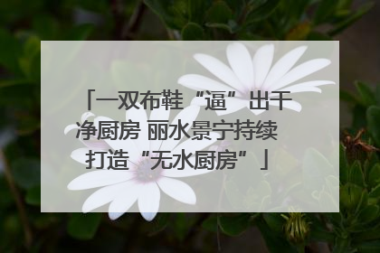 一双布鞋“逼”出干净厨房 丽水景宁持续打造“无水厨房”