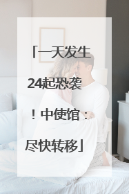 一天发生24起恐袭！中使馆：尽快转移