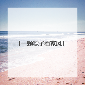 一颗粽子看家风