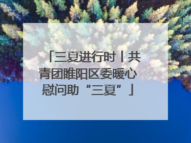 三夏进行时丨共青团睢阳区委暖心慰问助“三夏”
