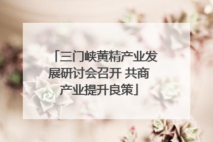三门峡黄精产业发展研讨会召开 共商产业提升良策
