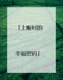 上畈村的幸福密码