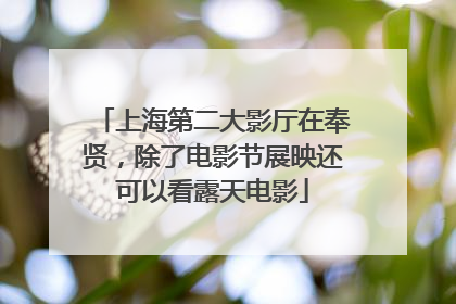 上海第二大影厅在奉贤，除了电影节展映还可以看露天电影
