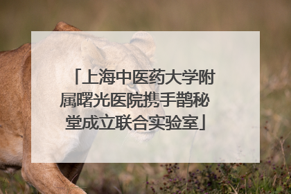 上海中医药大学附属曙光医院携手鹊秘堂成立联合实验室