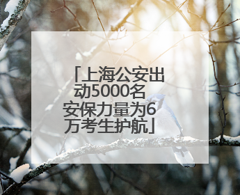 上海公安出动5000名安保力量为6万考生护航