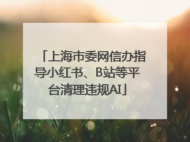 上海市委网信办指导小红书、B站等平台清理违规AI