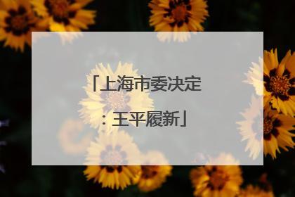 上海市委决定：王平履新