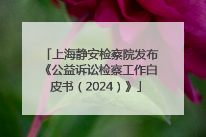 上海静安检察院发布《公益诉讼检察工作白皮书（2024）》