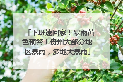 下班速回家！暴雨黄色预警！贵州大部分地区暴雨，多地大暴雨