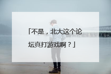不是，北大这个论坛真打游戏啊？