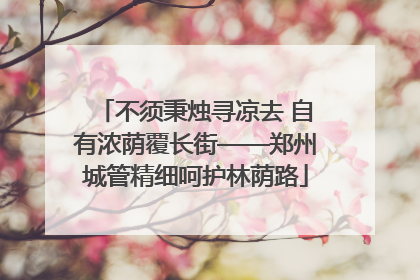 不须秉烛寻凉去 自有浓荫覆长街——郑州城管精细呵护林荫路
