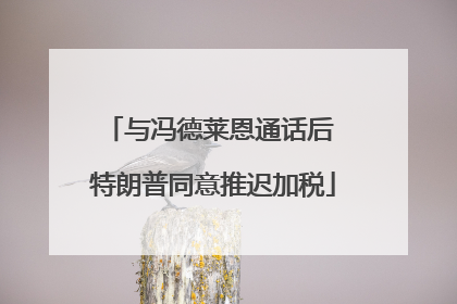 与冯德莱恩通话后 特朗普同意推迟加税