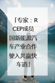 专家：RCEP成员国新能源汽车产业合作驶入共赢快车道