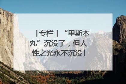 专栏丨“里斯本丸”沉没了，但人性之光永不沉没