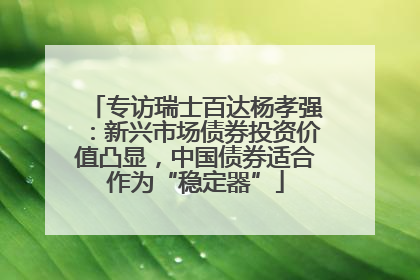 专访瑞士百达杨孝强：新兴市场债券投资价值凸显，中国债券适合作为“稳定器”